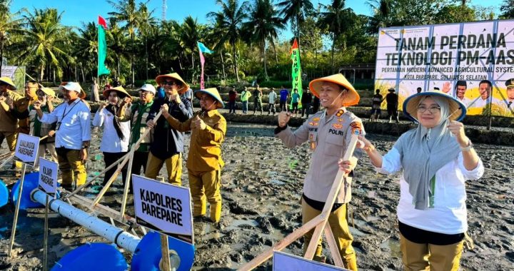Tanam padi perdana PM-AAS di Parepare bersama Wali Kota Tasming Hamid dan Kapolres Parepare